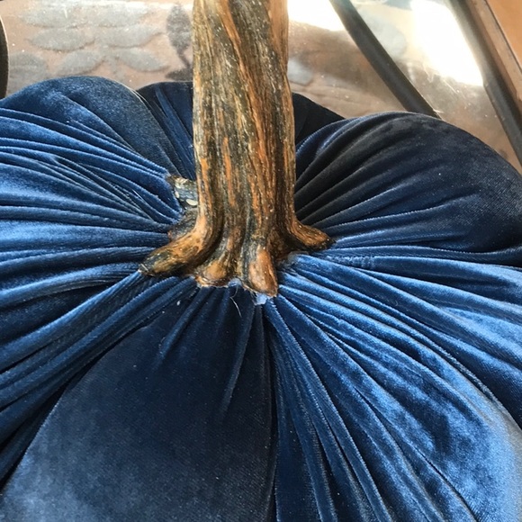 Blue velvet pumpkin with real stem - Picture 2 of 3